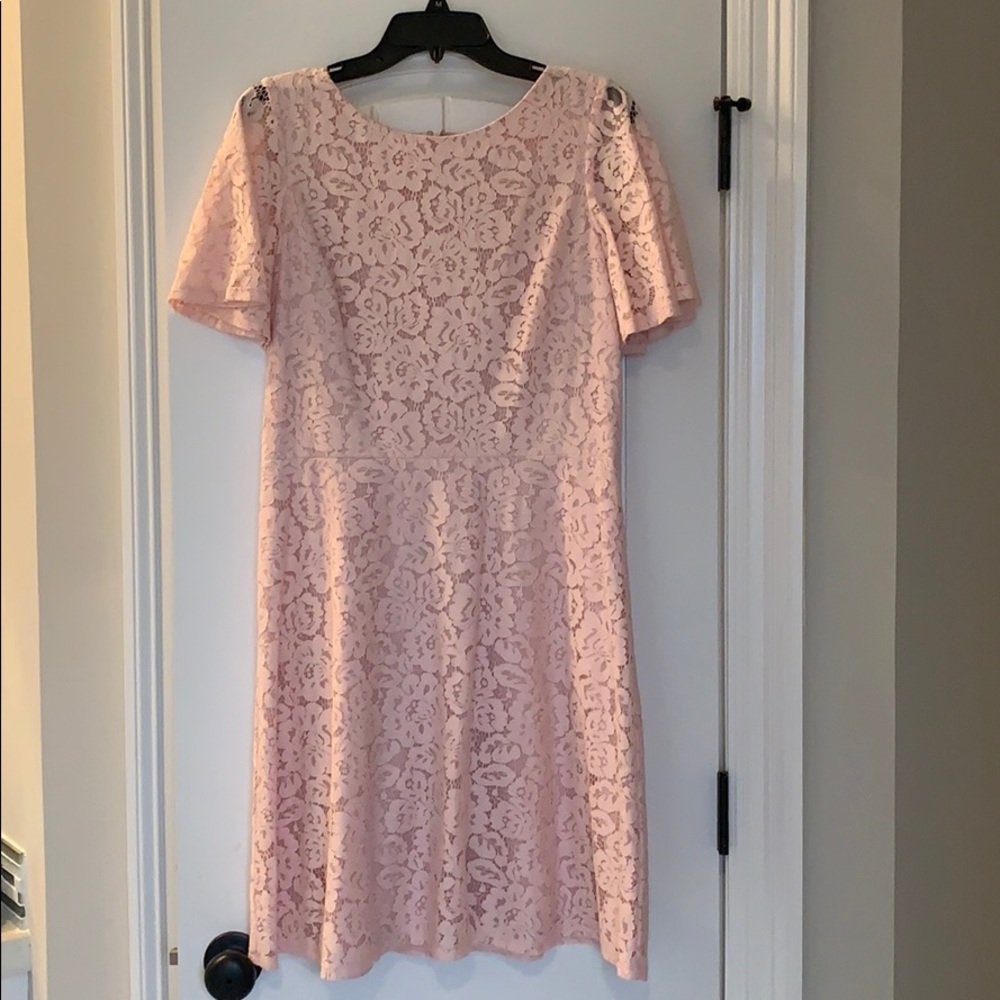 Blush lace J Howard dress worn once!